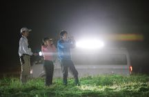 Wildlife Night Drive in Nagano, Japan
