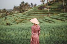 Full Day : Bedugul Temple - UNESCO Rice Terrace - Tanah Lot Temple 