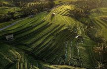 Full Day : Bedugul Temple - UNESCO Rice Terrace - Tanah Lot Temple 