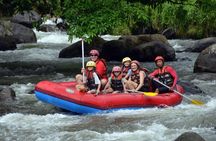 All inclusive : Ayung River White Water Rafting Lunch and Private Transport 