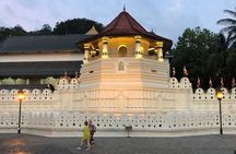 7 Days Sri Lanka Culture and Nature Private Tour from Colombo