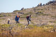 Cape Point Private Nature Tour & Hike