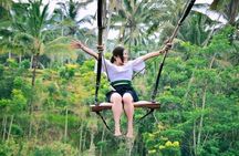 Ubud Experience | Full Day Private Tour in Ubud | FREE WIFI