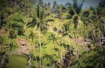 Ubud Experience | Full Day Private Tour in Ubud | FREE WIFI