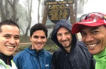 Kilimanjaro Experience 7 Days Lemosho route