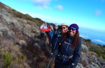 Kilimanjaro Experience 7 Days Lemosho route