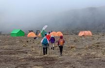 Kilimanjaro Experience 7 Days Lemosho route