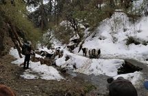 4 Days Poon Hill Trek from Pokhara