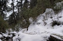 4 Days Poon Hill Trek from Pokhara