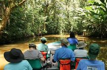 Tortuguero National Park and Canals Day Trip from San Jose
