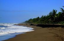 Tortuguero National Park and Canals Day Trip from San Jose