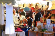 Full Day Best of Provence Tour from Avignon