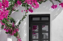 Mykonos Shore Excursion: Private Old Town Walking Tour