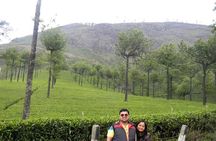 South India Tour in 06 Nights