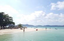 Pink Dolphin & Pig Island with Snorkeling Full Day Experience