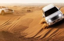 Dubai Desert Safari-Premium