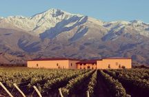 Vineyards with Wine Tasting in Mendoza