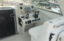 Boat Rental Service