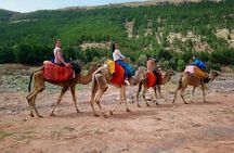 Three Valleys & Waterfalls & Atlas Mountains - Camel ride Day Trip Marrakech 