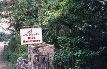 Rockland Bird Sanctuary Private Tour
