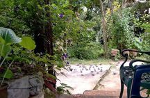 Rockland Bird Sanctuary Private Tour