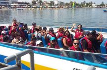 Paracas Full Day Tour