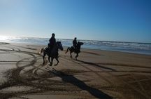 3 Hours Horse Riding with Dinner and Overnight Berber Camp