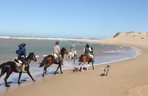 3 Hours Horse Riding with Dinner and Overnight Berber Camp