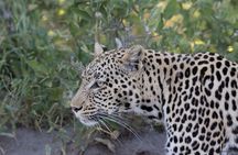 Zambezi National Park Game Drive AM /PM