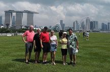 6 or 8 Hour Private Shore Excursion of Singapore by walk