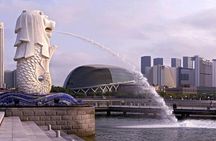 Private Customised Shore Excursion in Singapore By Car