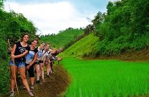 2-Day Karen Homestay – A Cultural Immersion
