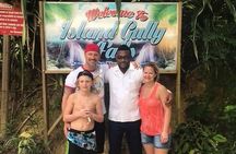 Wet and Wild - Blue Hole and Dunn's River