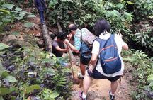 Medan - Bukit Lawang Fullday Tour