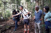 Medan - Bukit Lawang Fullday Tour