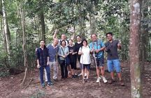 Medan - Bukit Lawang Fullday Tour