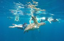 Snorkeling Tour In Gili Trawangan, Gili Meno And Gili Air Pick Up From Bali