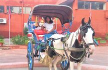 Customized - Same Day Private Tour of Taj Mahal (8-14 hrs) 