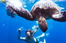 Snorkeling Tour In Gili Trawangan, Gili Meno And Gili Air Pick Up From Bali