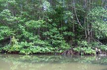 Can Gio Mangrove Biosphere Reserve 1 day
