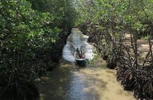 Can Gio Mangrove Biosphere Reserve 1 day