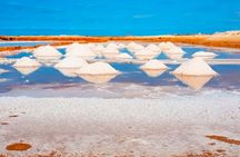 Sal Island: Guided Full-Day Highlights Tour with Lunch