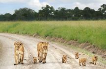 Nairobi national park ,Giraffe center and Beads factory