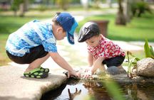 Ancient Athens for Kids 2-hour Private Walking Tour