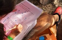 Ancient Athens for Kids 2-hour Private Walking Tour