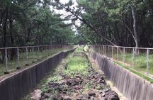 Fukuoka Nature and Cultural Sightseeing Tour