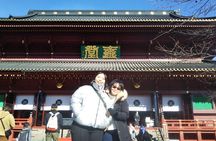 Nikko day trip in a private minivan with a licensed tour guide