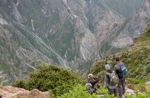 Private Trekking to the Colca Canyon