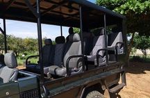 2days Bwindi NP gorilla trekking