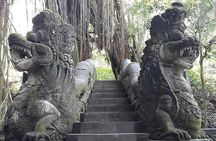 Private Tour:Your Program Highlight Tour with 10 Hours usage Bali Driver